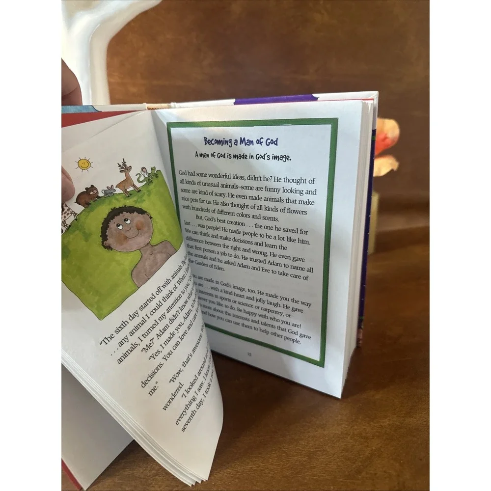 Little Boys Bible Storybook for Fathers and Sons New
